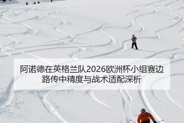 a-nuo-de-zai-ying-ge-lan-dui-ou-zhou-bei-xiao-zu-sai-bian-lu-chuan-zhong-jing-du-yu-zhan-shu-shi-pei-shen-xi-2-374.jpg
